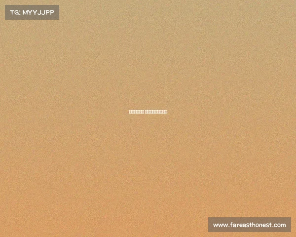 赛事保障指南 赛事保障组是干嘛的